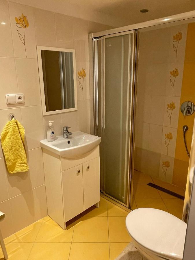Apartman V Podhuri Jizerskych Hor Zelezny Brod Exterior photo